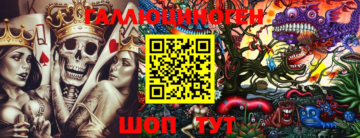 Котовск  как найти   Вход с VPN  Псилоцибиновые грибы Psilocybe 